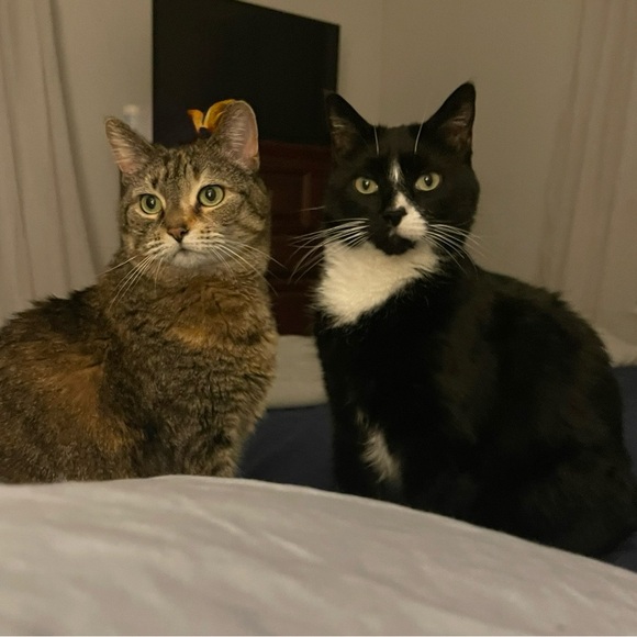 We're going live...or maybe silent…who knows, but join us for a good, fun time! - Picture 10 of 15